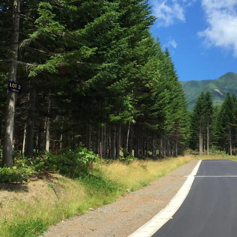 Annupuri Residences Lot #3